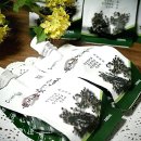 열매한의원 이미지