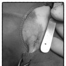 비포유동물병원 이미지