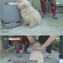 기형농장 이미지