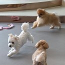 마인드몽 유치원 이미지