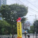 삼포막국수 | 삼포가는길 본점 :: 호불호 없는 코다리찜 찐맛집! 또간집 후기(6번째 방문)