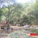 초부리유아숲체험원 이미지