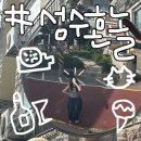 스럽다 | 폭염 속 성수에서 혼자 놀기 ★무비랜드/뵈르뵈르/그룬트/보물섬 feat. 스카프 방문실패★