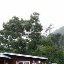 보성로뎀 이미지