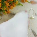수도미용소 - 순천시 | 수도미용소
