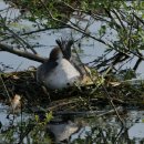 반석노인건강센터 | 명례리요양원 반석노인건강센터 부모님을 위한 최적의 선택