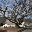 청마기념관 이미지