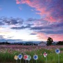 수원농장 이미지