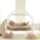 당근마차 이미지