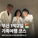 퍼스트호텔 | 부산 1박2일 가족여행 코스 총정리 | 해운대 실속 일정 (파라다이스호텔부산 중심)