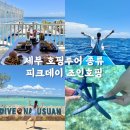 스노링케어 | 필리핀 세부 여행 호핑투어 종류 피크데이 조인호핑