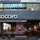 코코로브래드 이미지