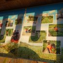 천금복집 이미지