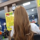 김수은헤어카페