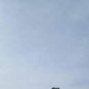 구룡포아라광장 이미지