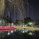 호텔 얌 여수학동점 이미지