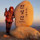 신년 해맞이 티스토리