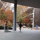 사사 학교 | [후기] 서울대 영재원: 20251122 사사과정 연구성과 발표회