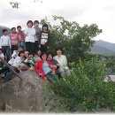 섬진다원 이미지