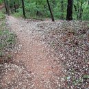 대동천과 판암 근린 공원 그리고 뾰족산 이미지