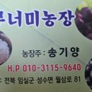 무너미농장 이미지