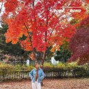 종로-연건-종로-연-172 | 서울 구경 가볼만한곳 10 가을 서울 여행 코스