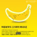 다비치 보청기 이미지