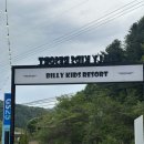 빌리리조트 | 양평 수영장 있는 글램핑장 "빌리풀램핑" 내돈내산 만족도 100 후기