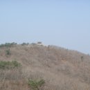 방화동가족휴가촌 자동차야영장 이미지