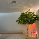 산본빌딩 | 산본 속눈썹연장 여배우살롱 LED 브라운래쉬 후기