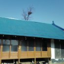 천년의 하루 이미지