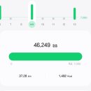 에이스굼벵이 | B마트 6개월 기간제 계약직 크루 계약연장 후기(주 5일, 40시간 풀타임) 배달의 민족 배민 비마트