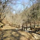 하늘재길 이미지