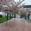 군산월명종합경기장 이미지