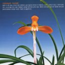 (주)금화 이미지