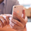 시리 헤럴드경제