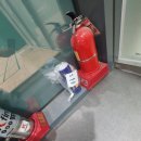 하남체육관 | 하남 실내체육관 배드민턴 대형 스티커 실사출력 제작 및 시공