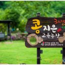 지은비