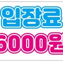 고양이카페 아이캣유 네이버블로그