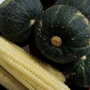 단호박공인중개사사무소 이미지