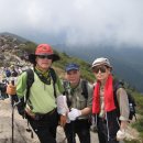 지리산(대구) 이미지