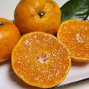 라포르하례 이미지