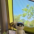 홍천와캠핑 이미지