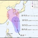 피토 이미지