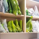 소망한약국 이미지