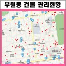 아모르빌 이미지