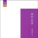 연꽃하늘