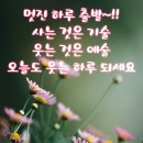 행복이가 노크하네요. 똑똑 이미지