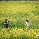 부대끼니 | <1984> 조지 오웰 독서모임 후기