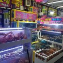 대포횟집 - 서귀포시 대포로 169 | 대포횟집